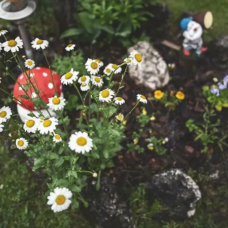 Apartment Majon Del Tisler