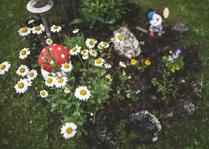 Appartamento Majon Del Tisler